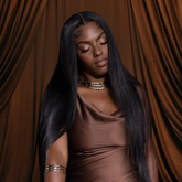 Raw Vietnamese Straight HD Wig