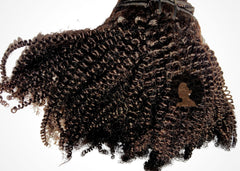 Coily Goddess Clip In Extentions