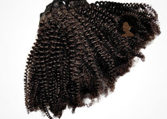 Coily Goddess Clip In Extentions